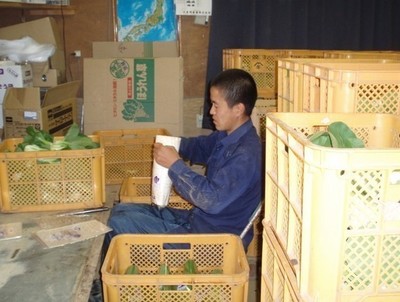 出国打工需要符合哪些条件