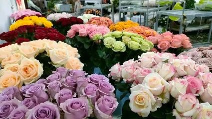 王鹏程 在“花花世界”中探寻致富路的劳务服务先行者